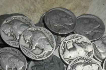 10 Most Valuable Buffalo Nickels Worth a Fortune