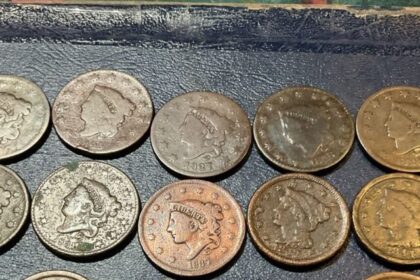 Top 12 Rare Large Cents Worth More Than You Think