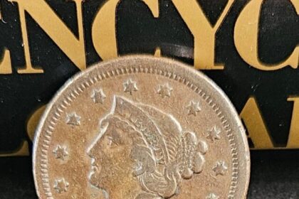 10 Braided Hair Large Cent That Every Collector Dreams of Finding