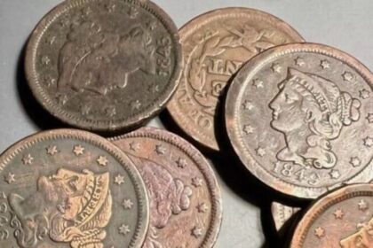 10 Braided Hair Large Cents That Are Breaking Auction Records