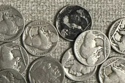 10 Indian Head Buffalo Nickel Worth More Than You Think