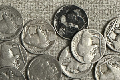 11 Most Valuable Buffalo Nickel in Circulation Ever