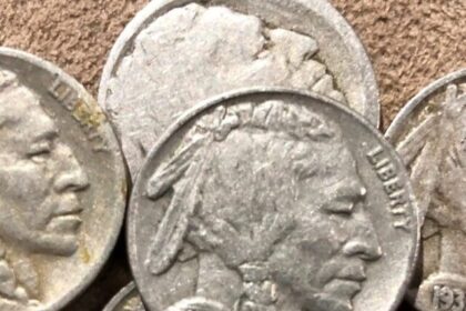 10 Valuable Buffalo Nickels That Could Make You Rich