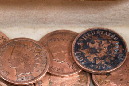 Top 10 Most Valuable Pennies Ever Sold in US